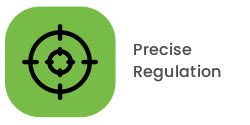 Precise regulation